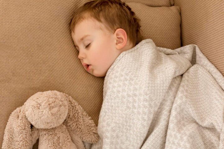 A Comprehensive Guide to Choosing the Perfect Toddler Blanket 78 Choosing a Toddler Blanket