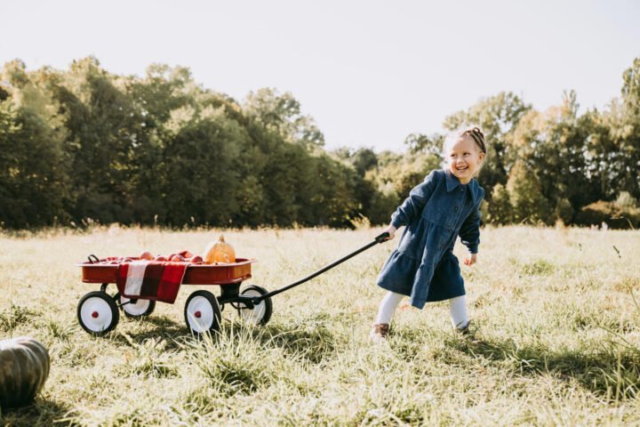 Warning: Don’t Buy a Wagon Before Considering This Best Wagon for Kids! 62 Best wagon for kids