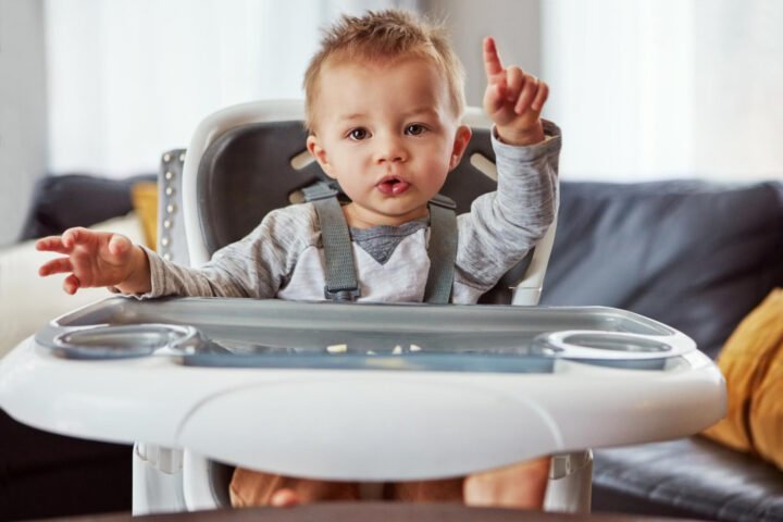 Why Your Baby NEEDS the Best Infant High Chair – Start Here! 67 The Best Infant High Chair