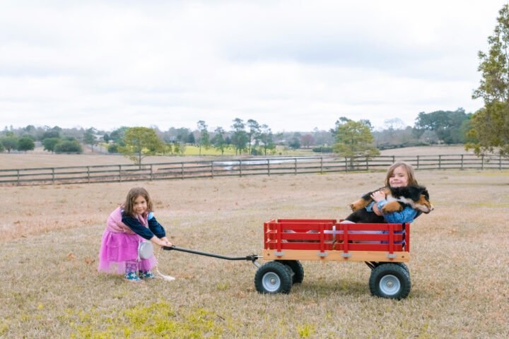 Warning: Don’t Buy a Wagon Before Considering This Best Wagon for Kids! 60 Best wagon for kids